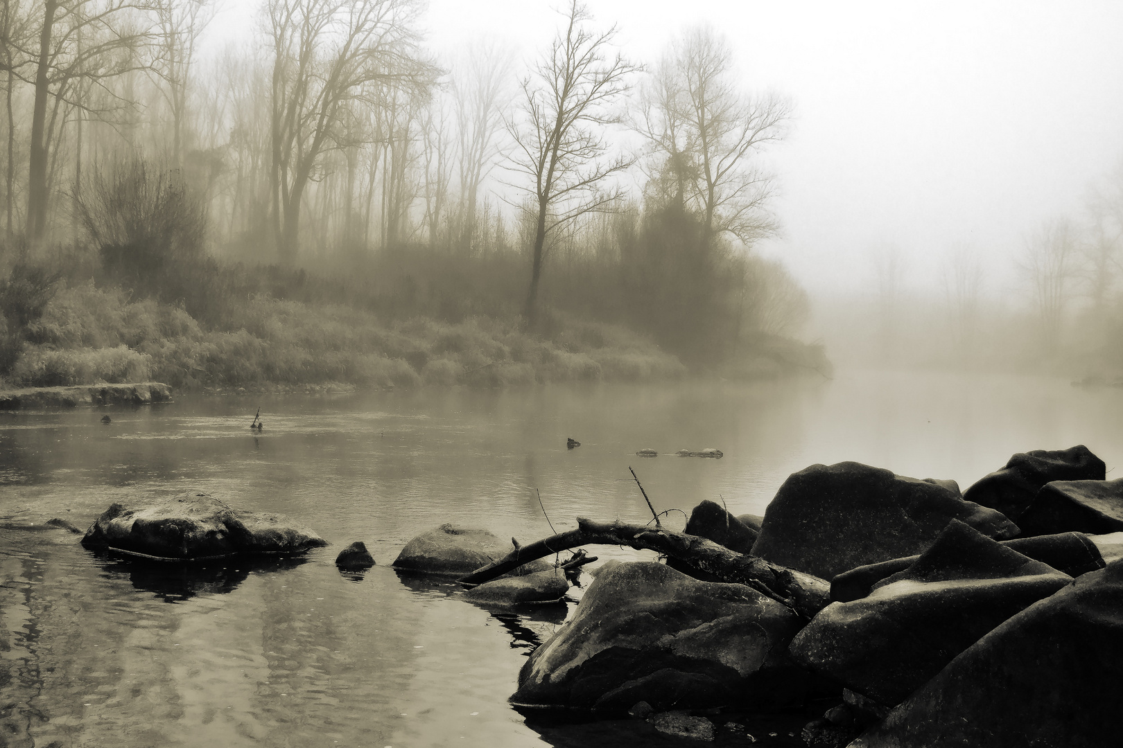 a morning on the riverside