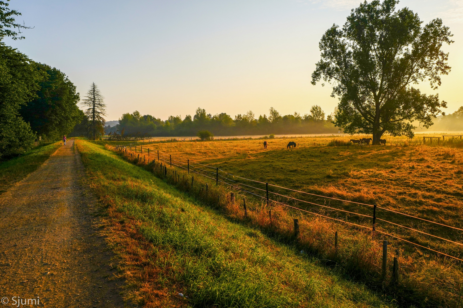 A morning walk