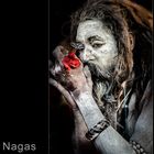 A Naga Babas Life