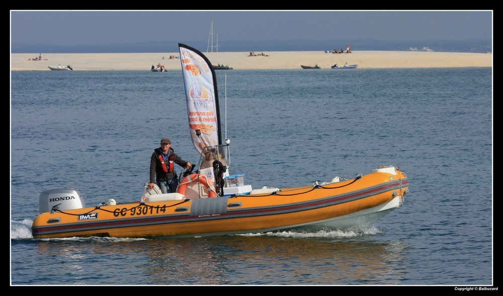 " A ne pas confondre avec le sous marin jaune "