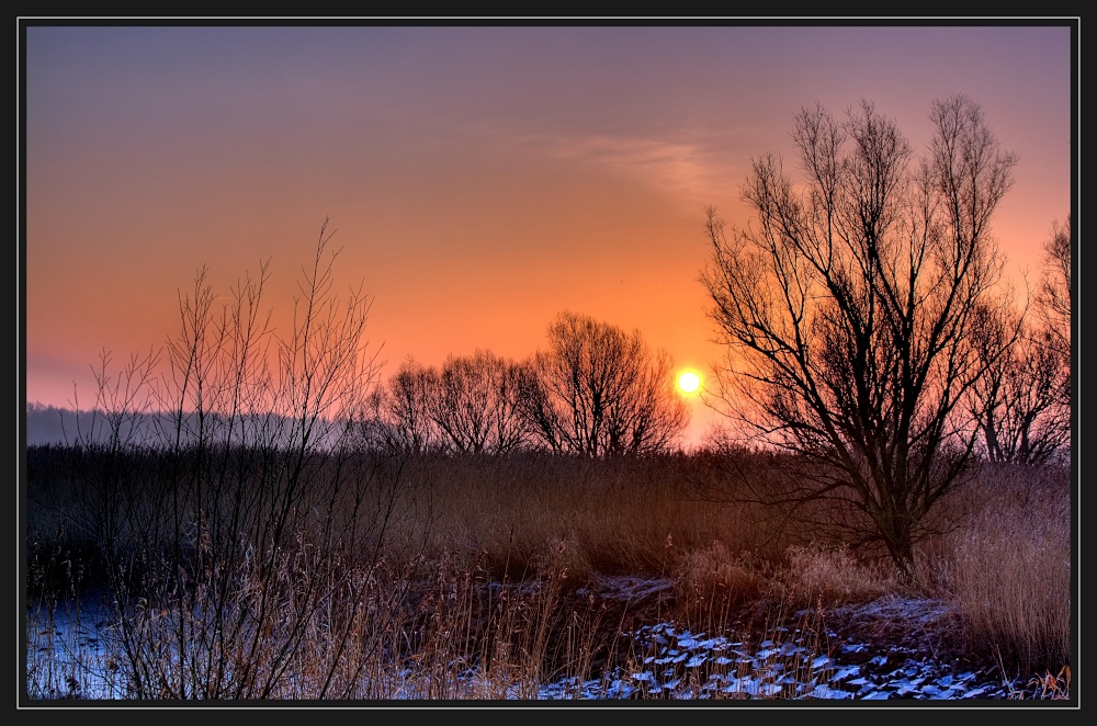 a new day in lower saxony II