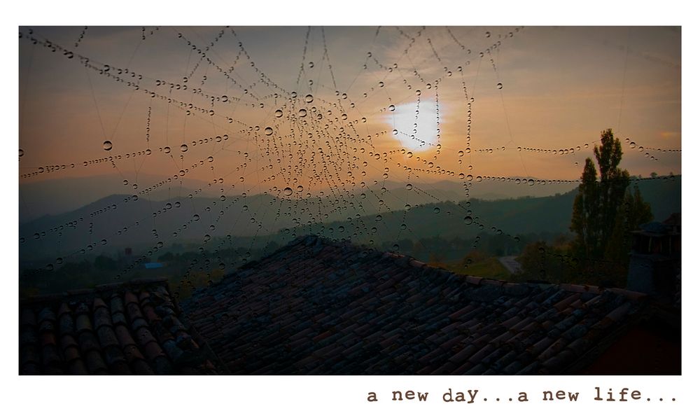 a new day...a new life...