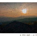 a new day...a new life...