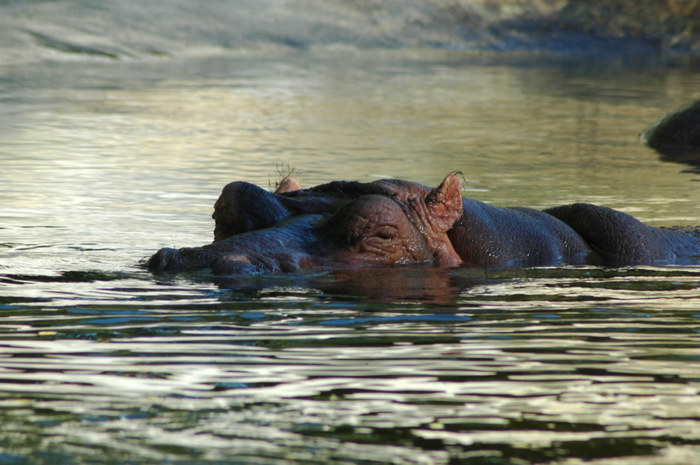 A nice day in the water