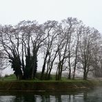 A Night at the Harbour - mystic island ...