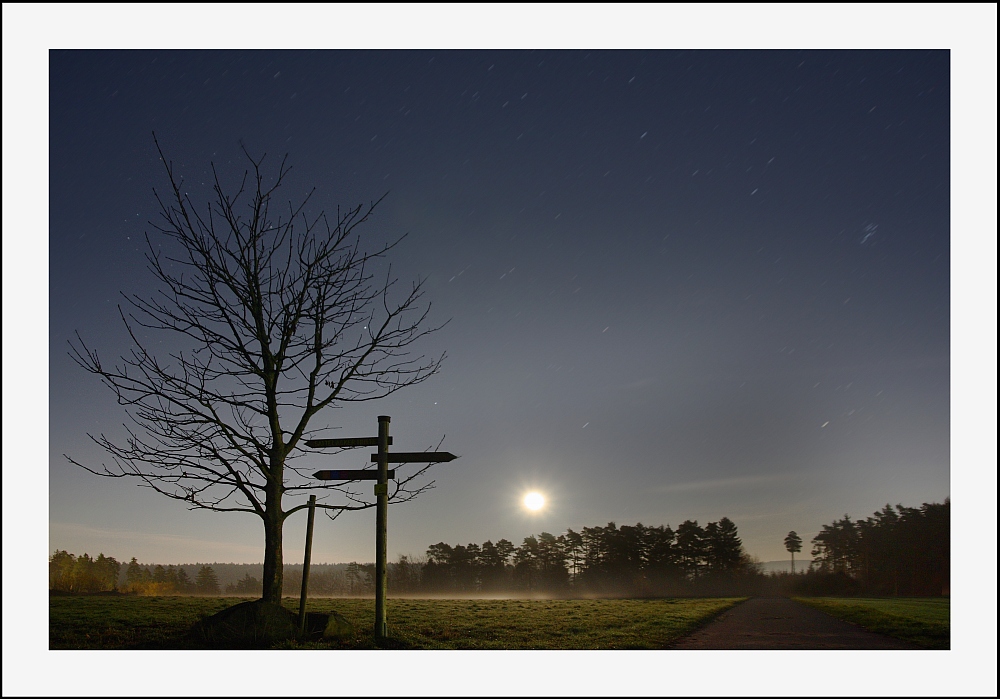 A night on the fields