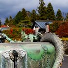 a Nikko dragon, Tokyo surroundings