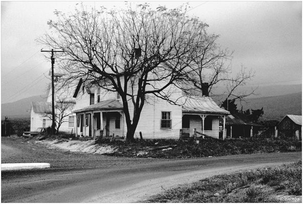 A November afternoon, somewhere in West Virginia...