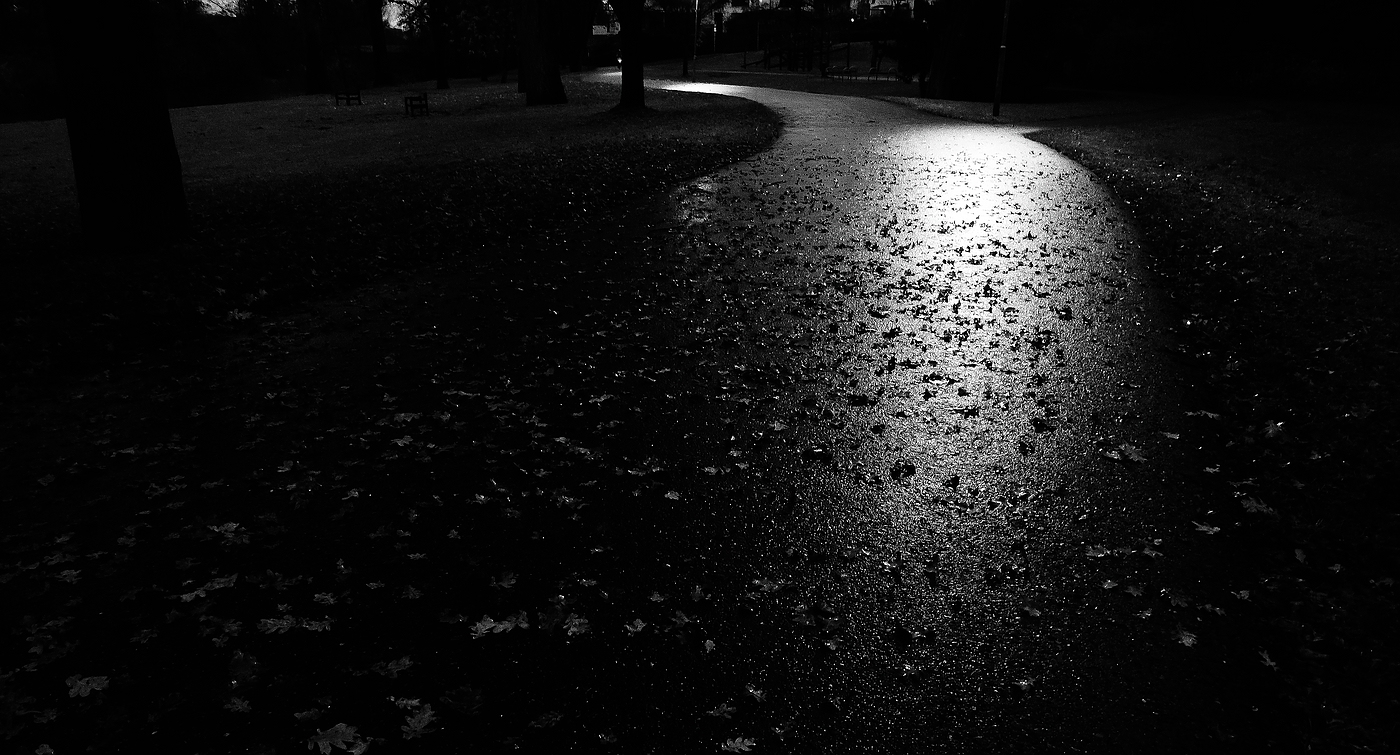  A November evening walk in the park