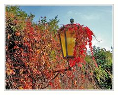 ... a old outdoor lamp in the....