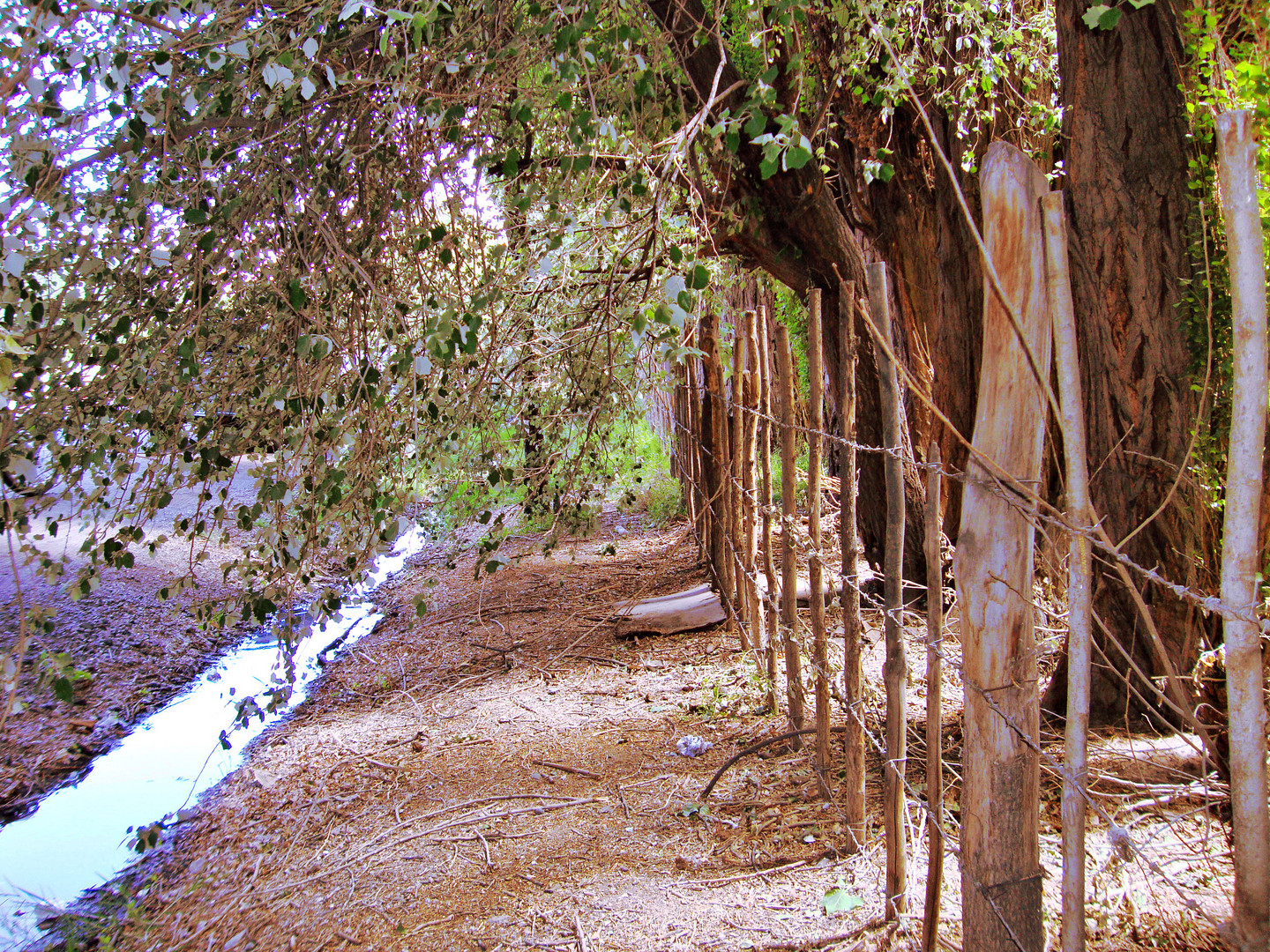 a orillas del camino