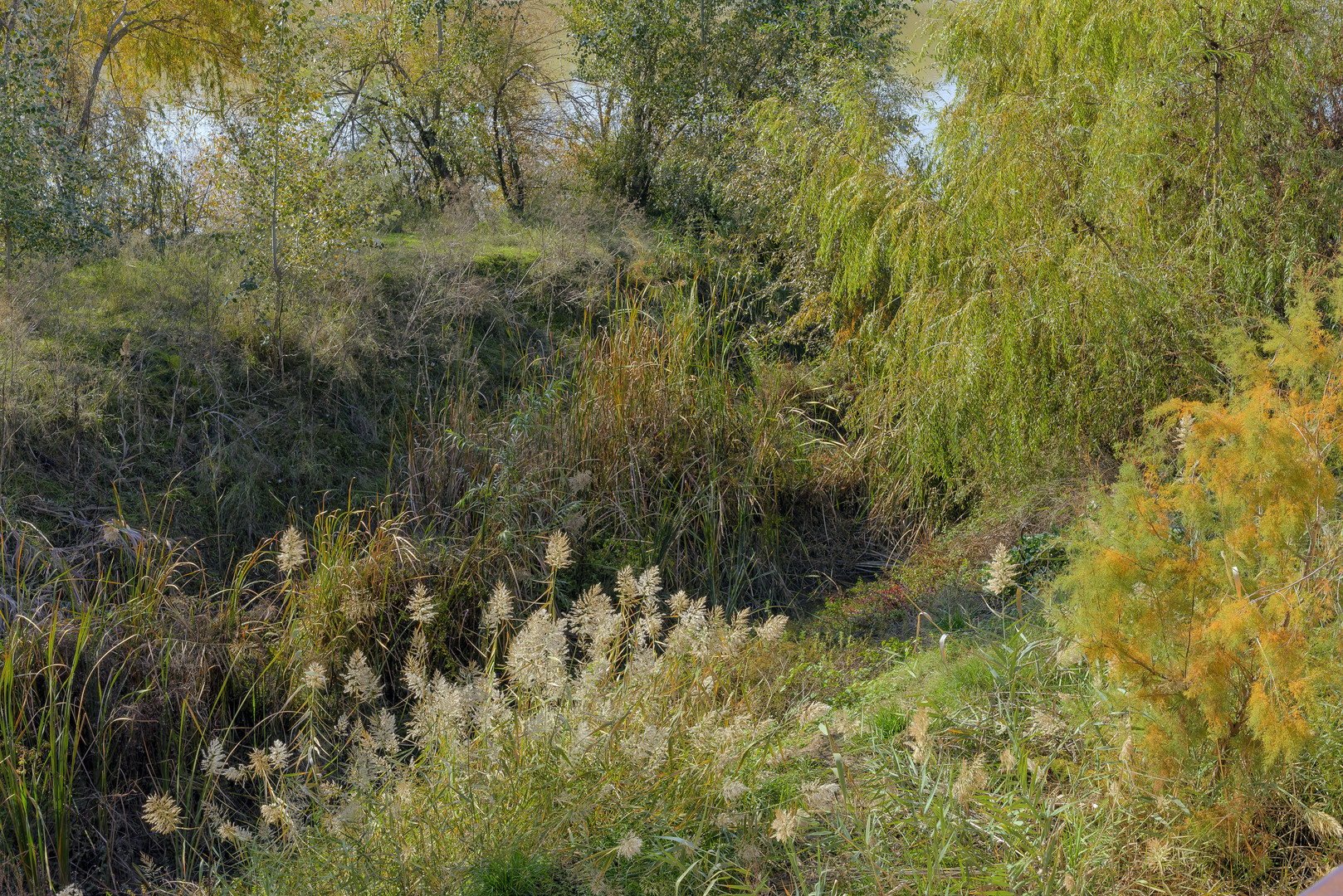 A ORILLAS DEL GUADALQUIVIR