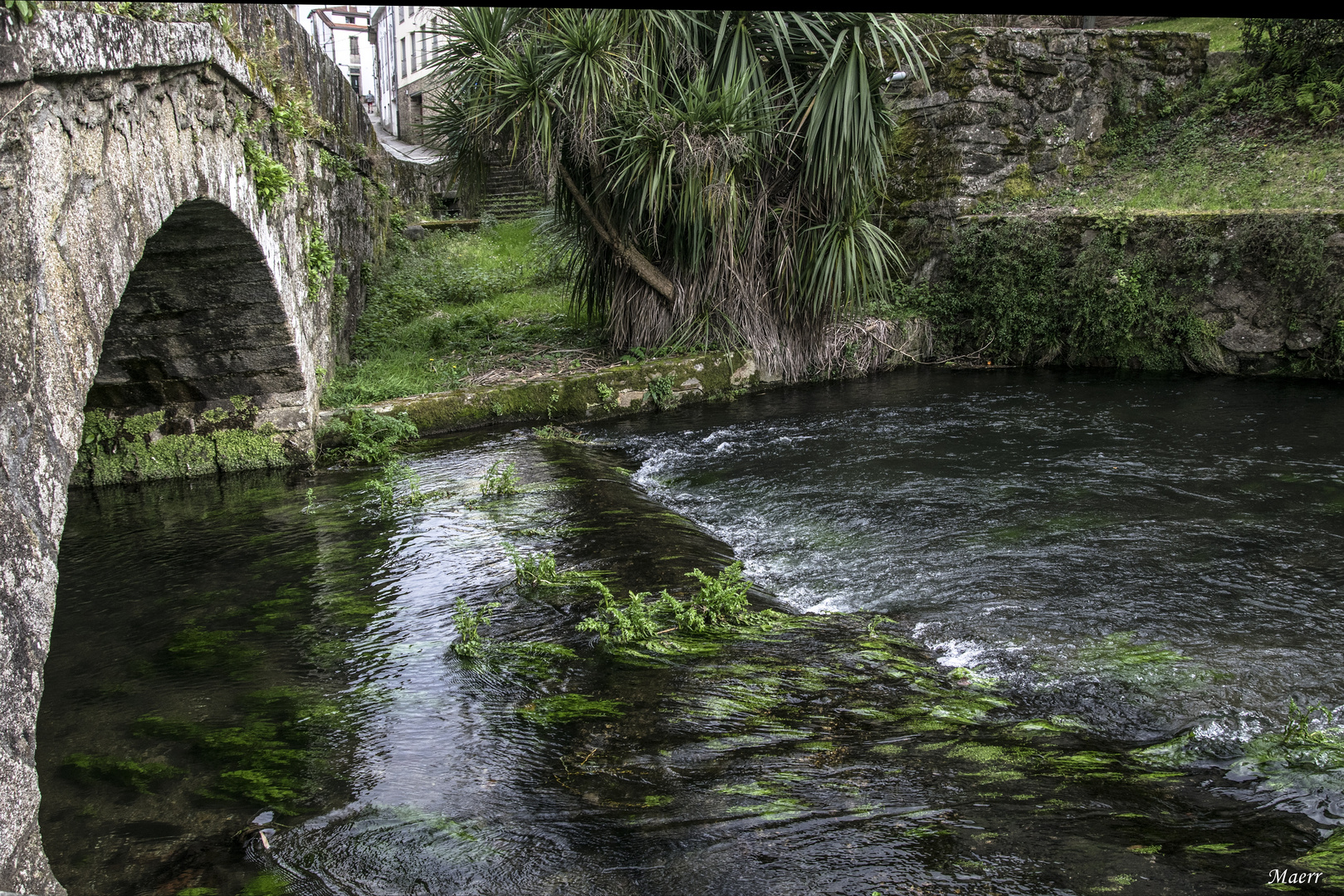 A orillas del Sarela