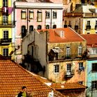 A painter...on the roof