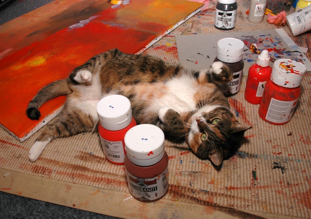 a painters cat