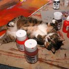 a painters cat