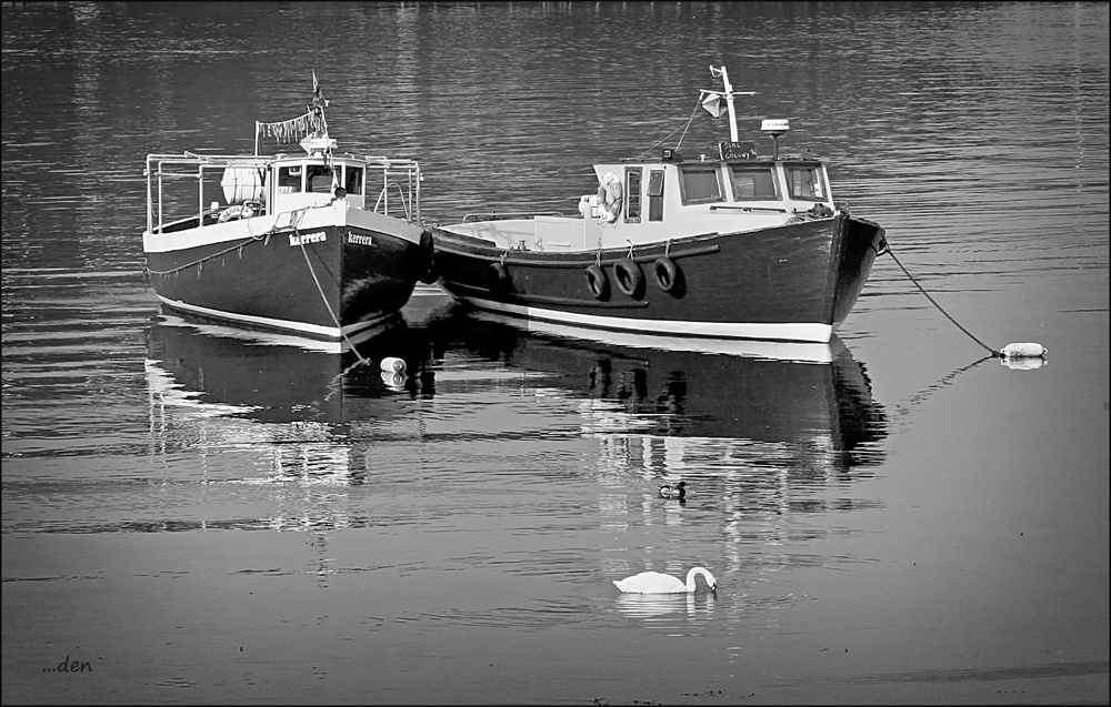 A Pair of Tour Boats.....