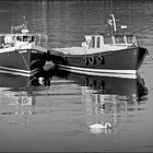 A Pair of Tour Boats.....