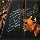 A Park Bench in Autumn