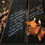A Park Bench in Autumn