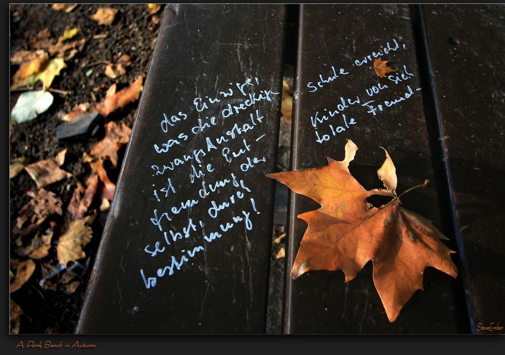 A Park Bench in Autumn