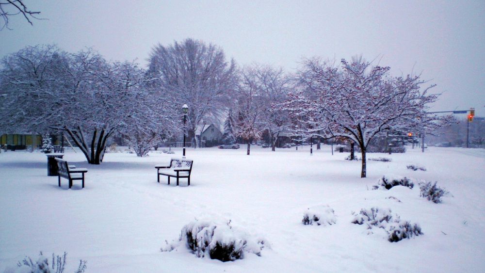 A park in Kelowna, BC, Canada, after a snowfall. photo & image still