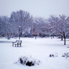 A park in Kelowna, BC, Canada, after a snowfall.