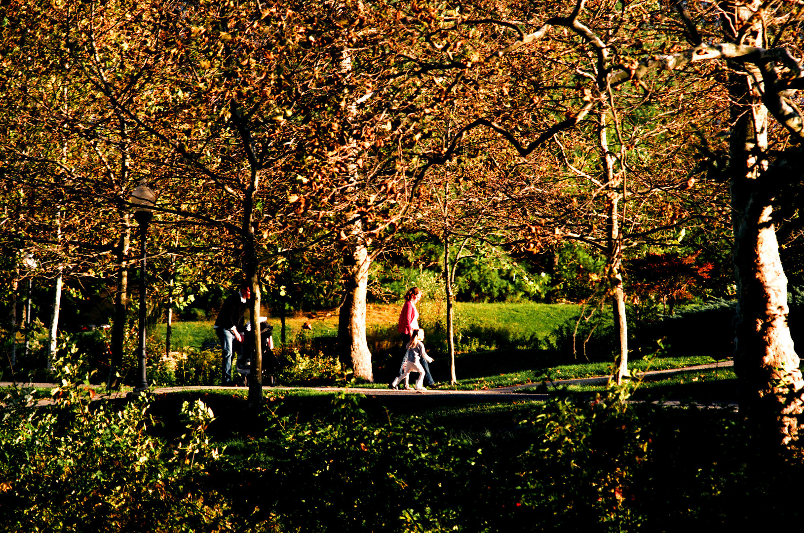 A Park Stroll in Autumn