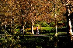 A Park Stroll in Autumn