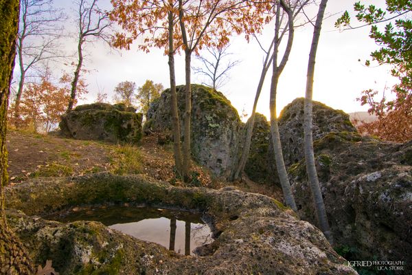 A passage for the Sun - Observatory