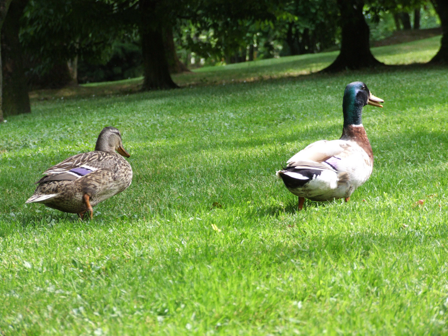 a passeggio