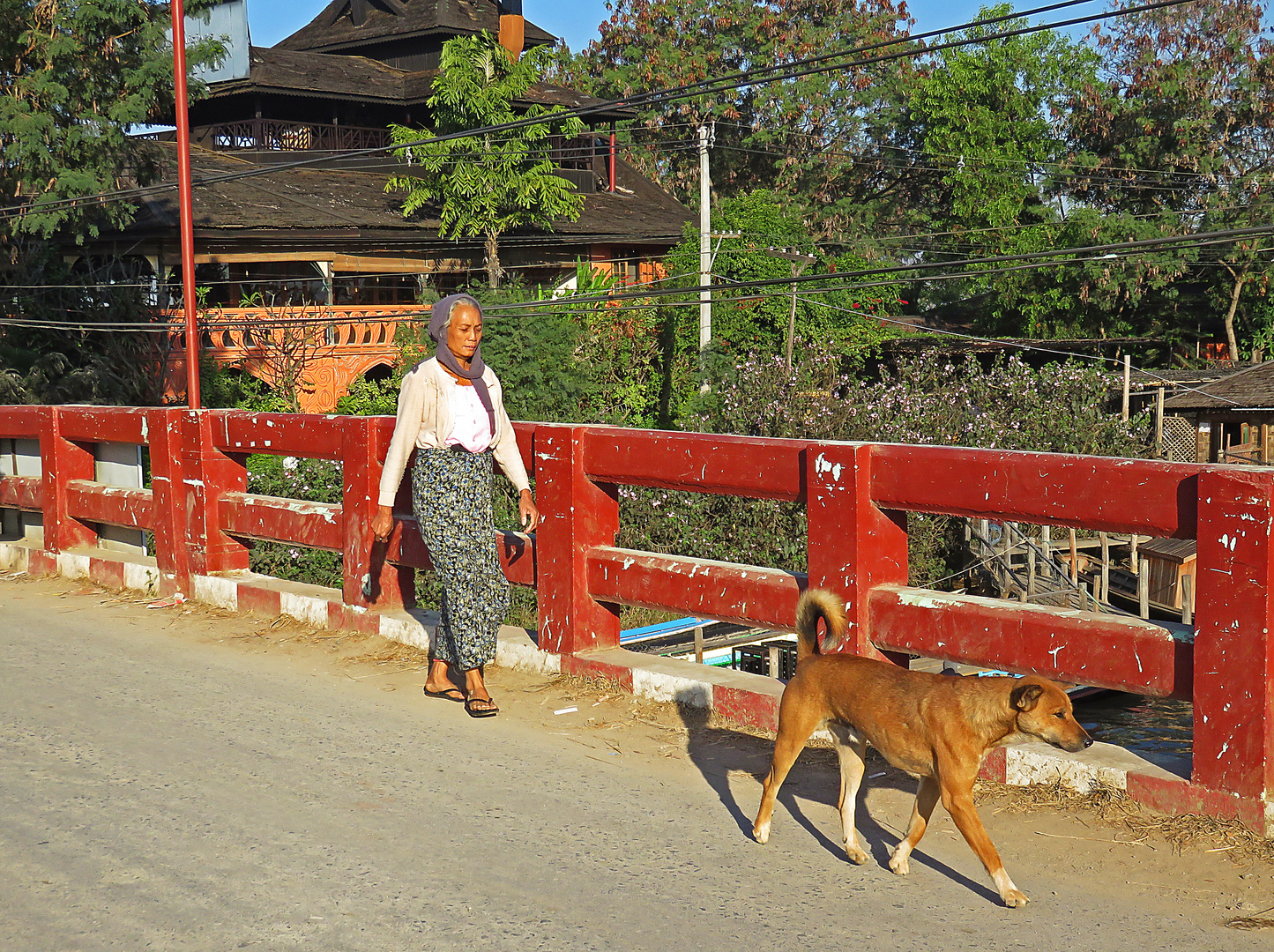 A passeggio con Fido, Nyaungshwe.