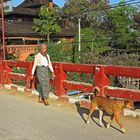 A passeggio con Fido, Nyaungshwe.