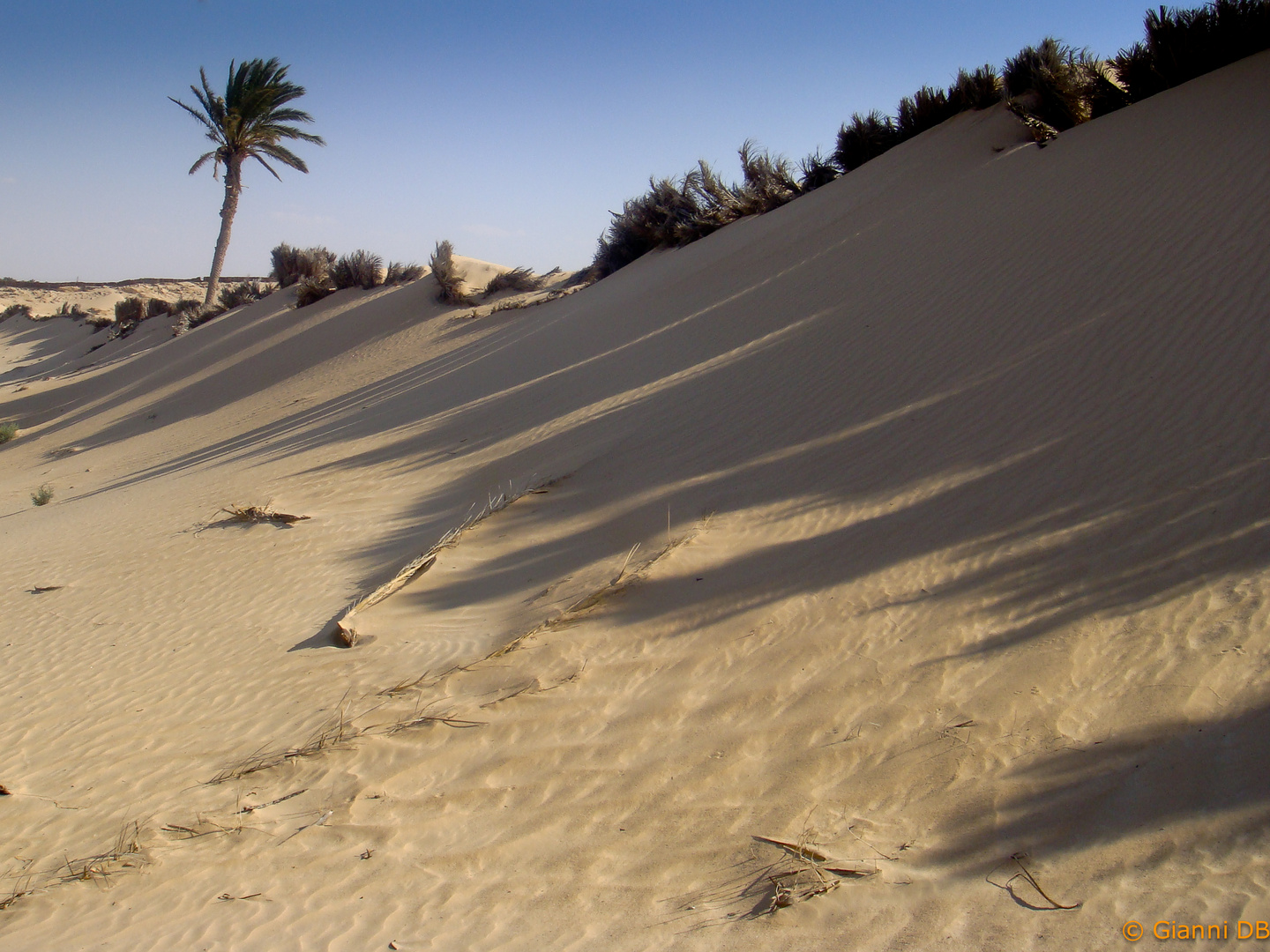 A passeggio nel deserto