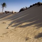 A passeggio nel deserto