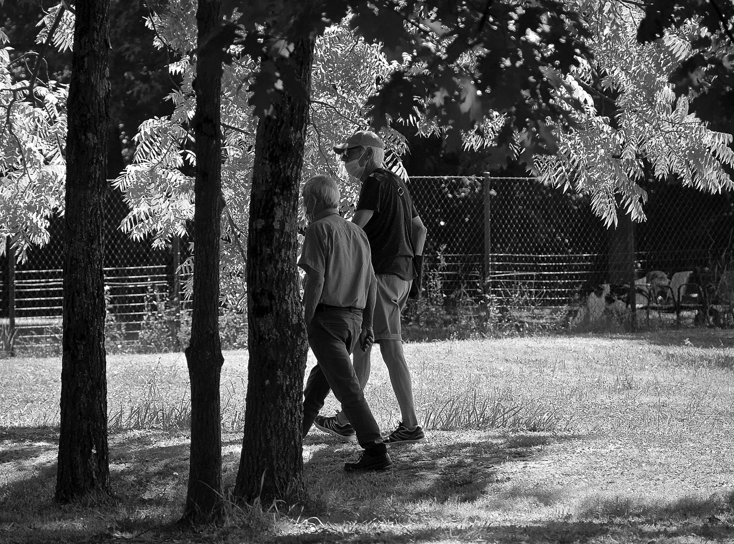 A passeggio nel parco.