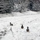 A passeggio nel Parco delle Cave