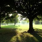 A Passeggio no Hyde Park...Londra