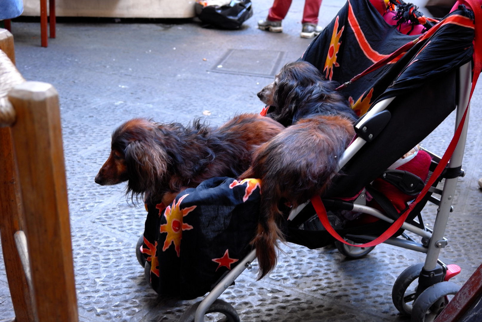 A passeggio per Firenze