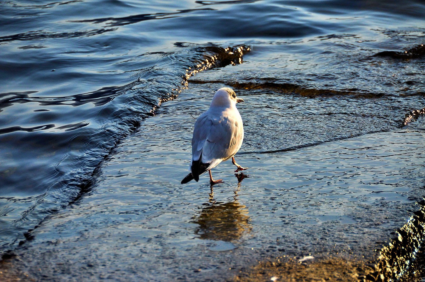 A Passeggio sul lago