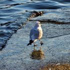 A Passeggio sul lago