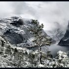 a passing spring storm in the Sierras