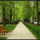 A peaceful summer afternoon in Boston College