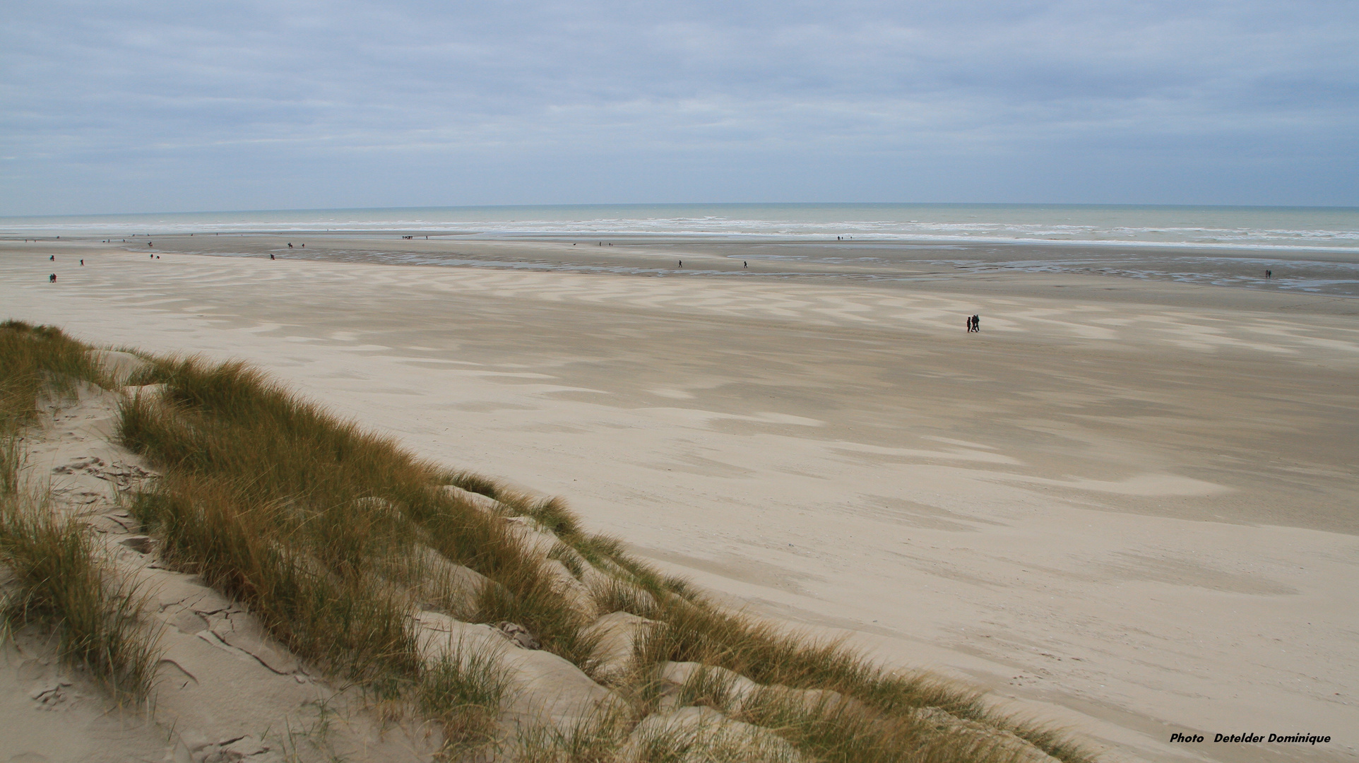 A perte de vue (cote d'Opale)