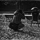 A PHOTOGRAPHER IN THE ROYAL GARDENS