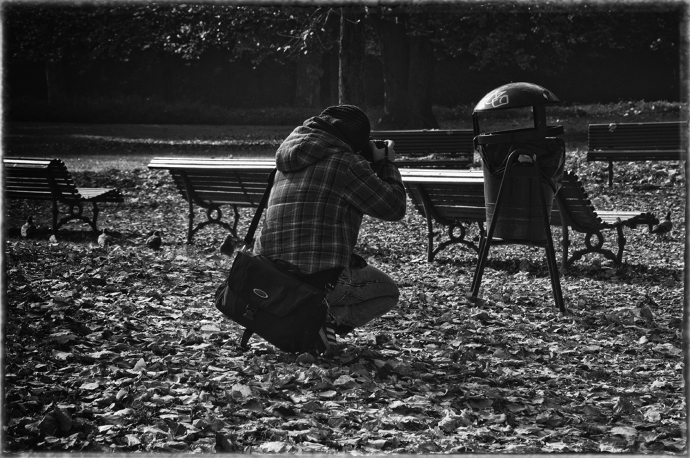 A PHOTOGRAPHER IN THE ROYAL GARDENS