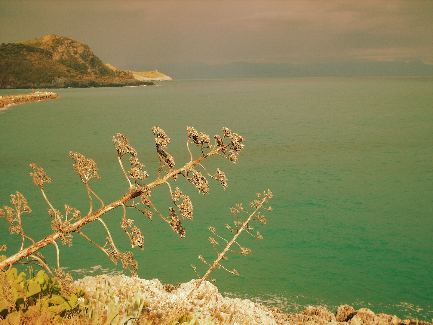 a picco sul mare