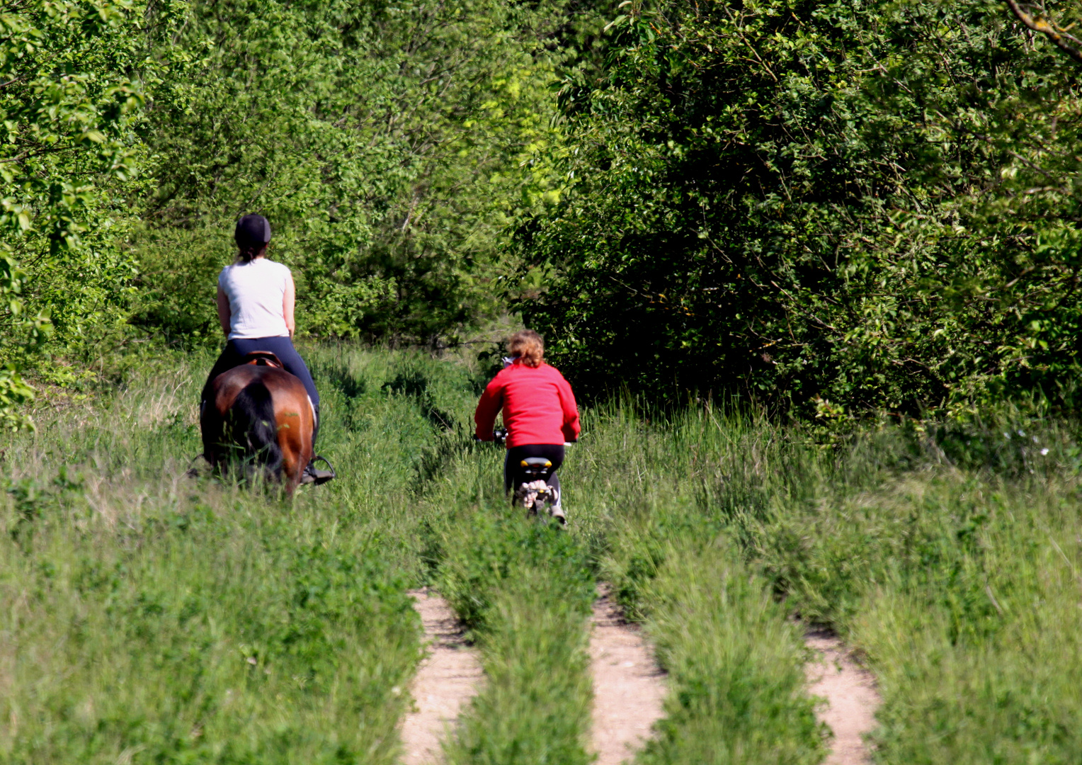 a pied a cheval et meme a velo