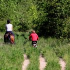 a pied a cheval et meme a velo