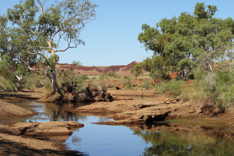 A Pilbara Waterhole